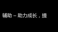 辅助 – 助力成长，提升效率 ，成就卓越