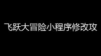 飞跃大冒险小程序修改攻略 ：2改120冻结资源教程