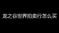 龙之谷世界拍卖行怎么买东西