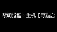 黎明觉醒	：生机【寻猫启事】支线任务可做