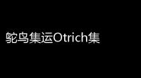 鸵鸟集运Otrich集app官方版下载v192 安卓版 人气热度：19℃