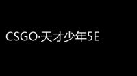CSGO·天才少年5E·完美·专用自瞄 v618