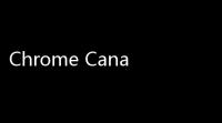 Chrome Canary(金丝雀版) 84041464 官方版