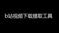 b站视频下载提取工具