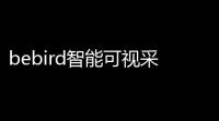 bebird智能可视采耳
