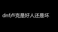 dnf卢克是好人还是坏人(dnf直接结束游戏能退出卢克)