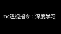 mc透视指令：深度学习中的关键优化手段