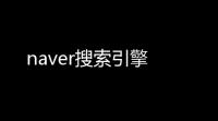 naver搜索引擎