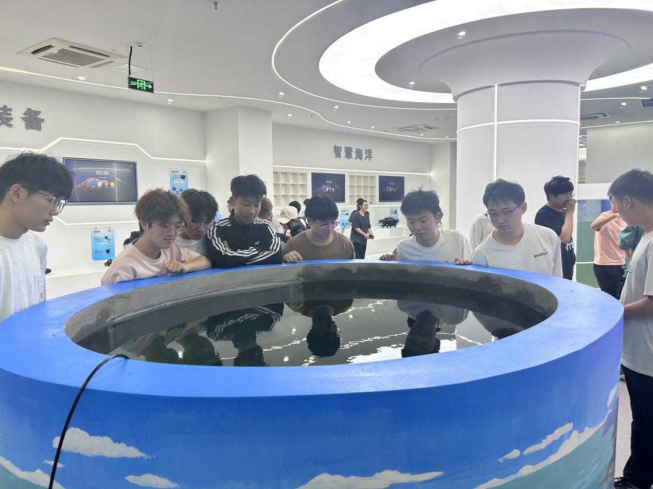 Apex工具：高效代码开发与自动化集成速查