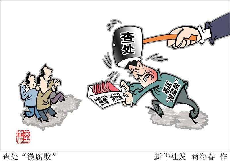 什么是'apex棒透皮肤'？