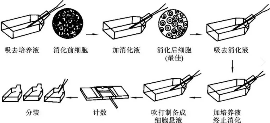 cf科技卡网：提供最新cf科技卡信息与使用技巧的权威平台