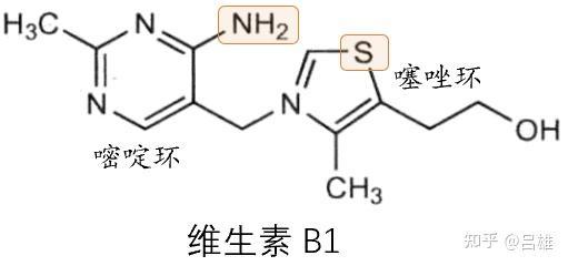 CS2辅助科技有哪些应用场景？