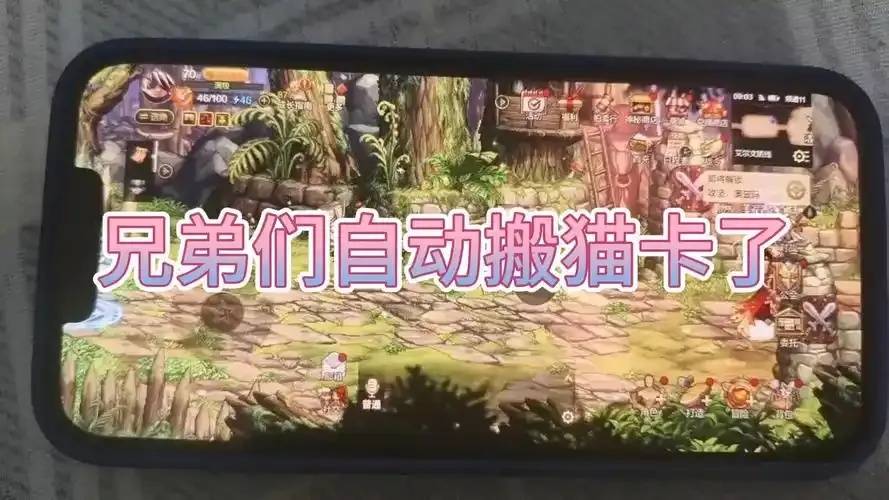 DNF手游搬猫卡脚本详解及使用教程