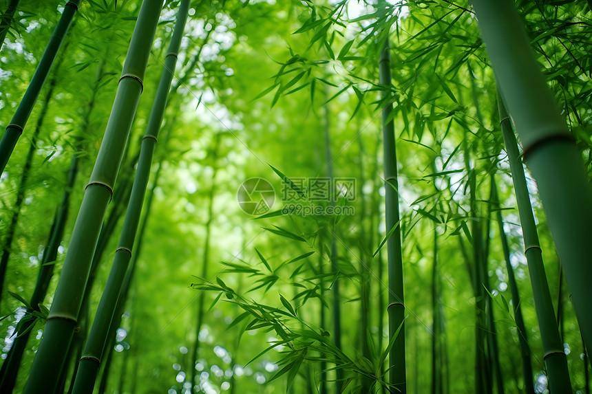 DNF手游漫游PK被削：荣耀之殇与电竞之痛