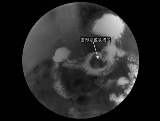 深入解析：如何撰写有深度、高成功率的有效邮件以申诉被封禁的Telegram账号