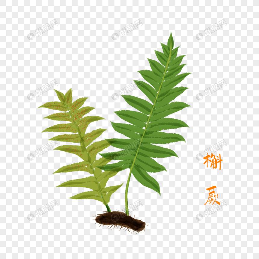 dota2可交易物品获取方法