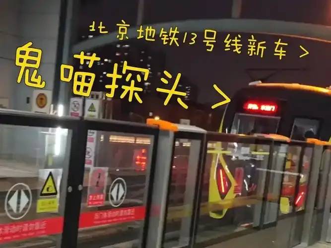 实用指南：臭猫扫号日记与地铁出行技巧