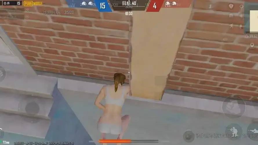 什么是pubg单透视？