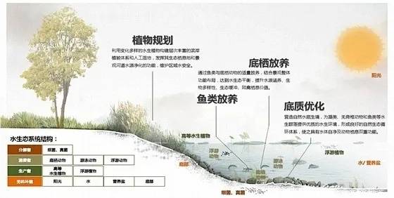 QQ三国子女辅助技能详解：属性与实战效果分析