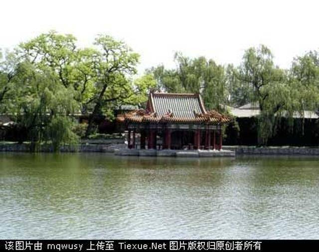 暗区突围RAY直装官网：2024最新版本下载通道724小时开放