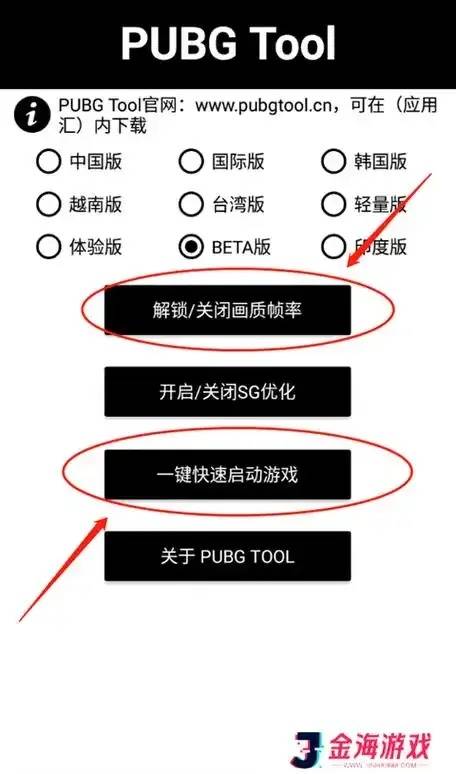 深入解析：国际服辅助APK的本质、风险与安全使用策略