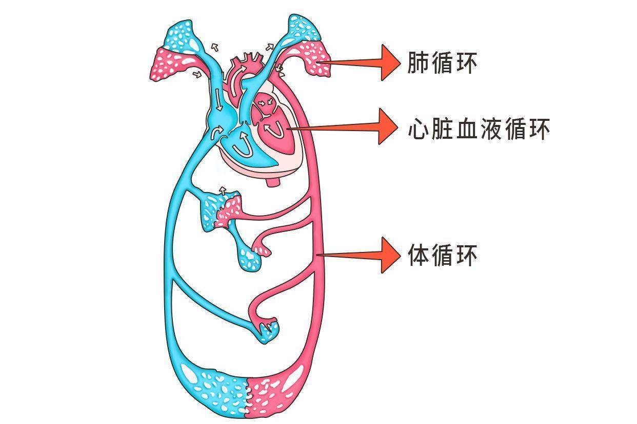 暗区突围国际服透视挂：实力玩家的必备实用工具