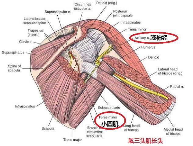 暗区突围物资透视有什么用？