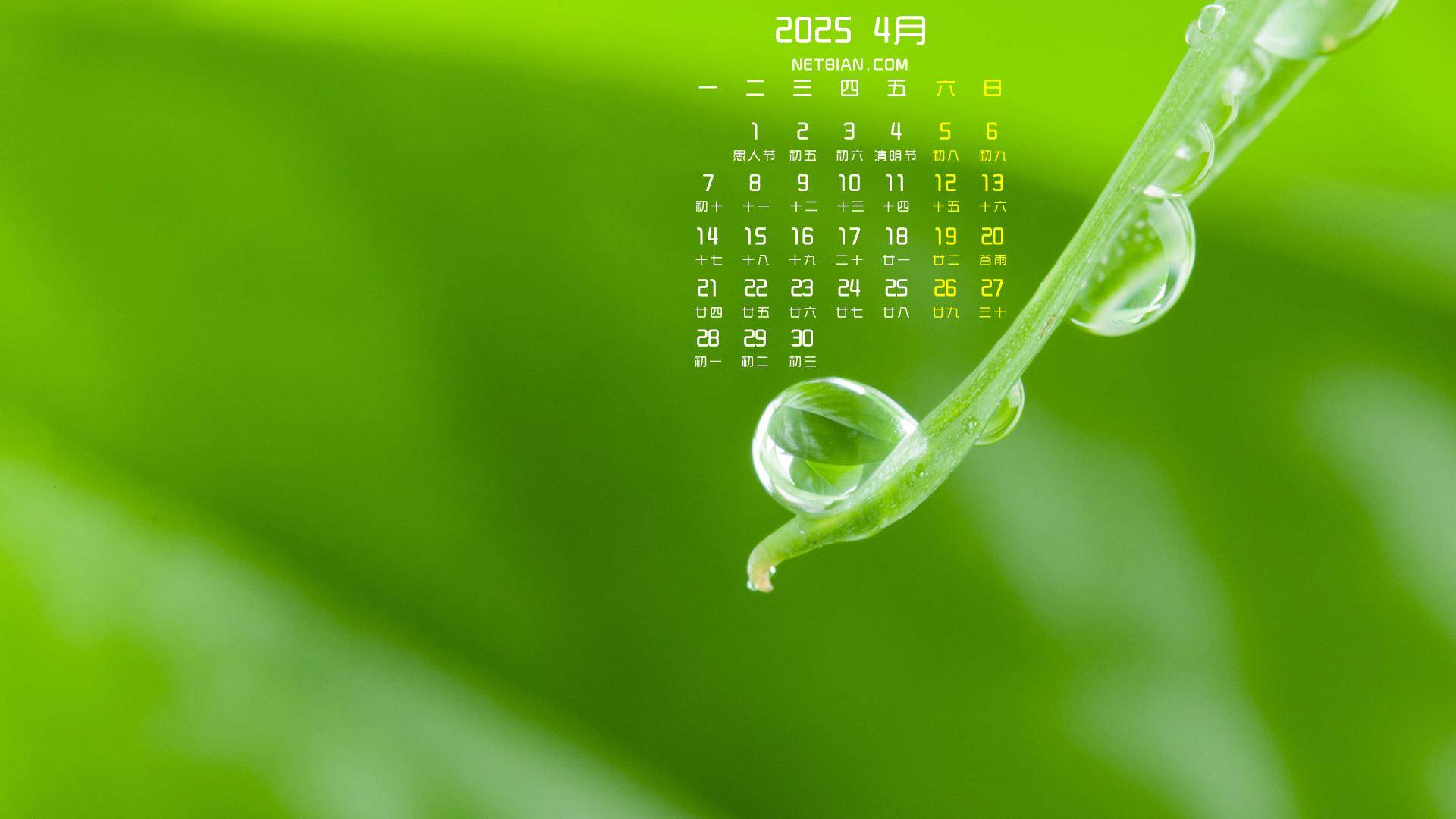 探索白夜极光中文插件的奥秘与魅力