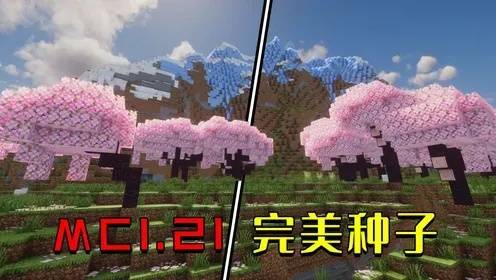 白夜极光停服原因深度解析：一场虚拟世界的悲歌