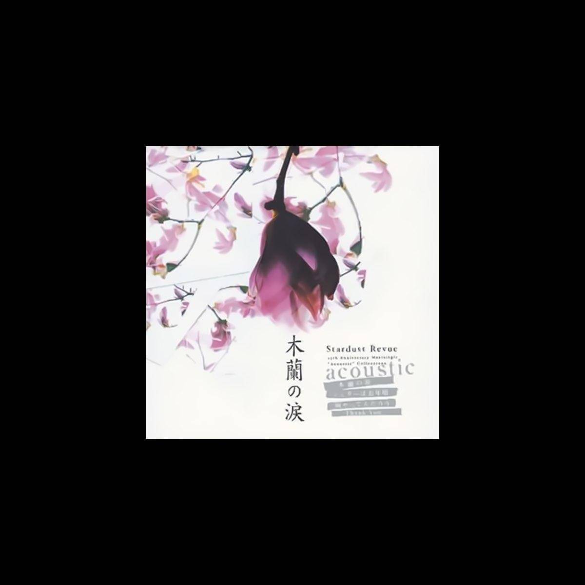 白夜极光全人物图鉴有哪些角色？