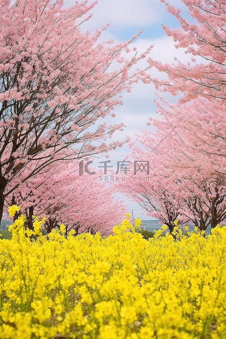 百度百科樱花动漫《全班怀孕计划