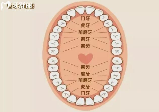 崩坏星穹铁道科技合作伙伴：共创未来宇宙探索新篇章