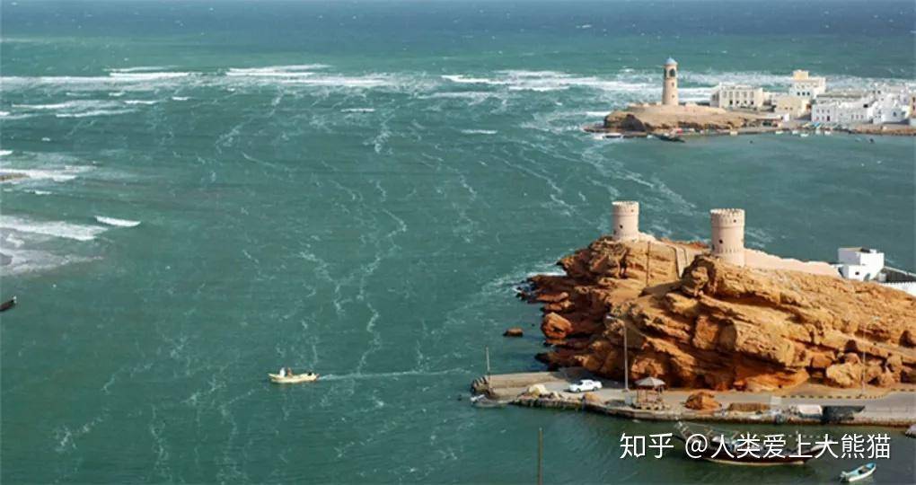 探索碧蓝档案wiki的深海秘境：一切角色的终极指南与策略解析