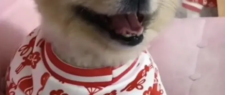 碧蓝航线科技箱能开出什么装备? 第1张 碧蓝航线科技箱能开出什么装备? 第1张