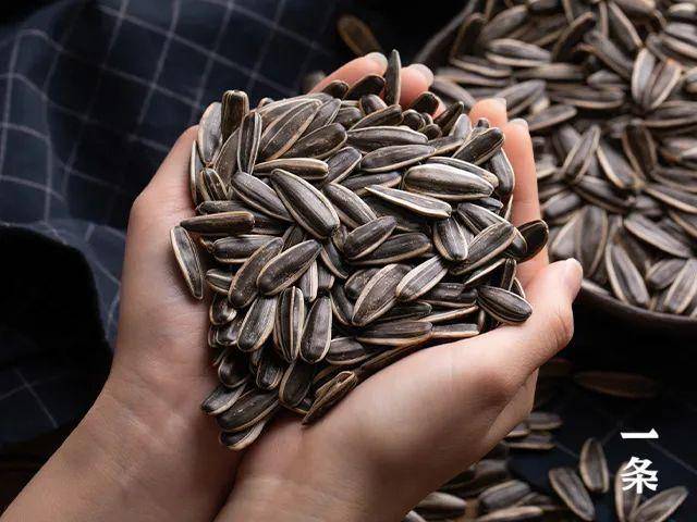 超凡先锋电脑版下载官网入口全面解析与深度体验