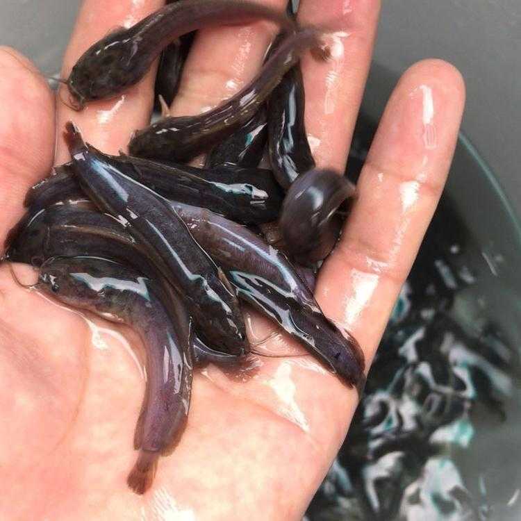 超凡先锋熔岩玩法指南