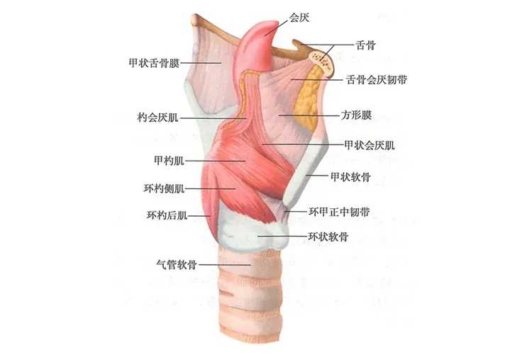 超自然行动组外挂：实用任务支援系统
