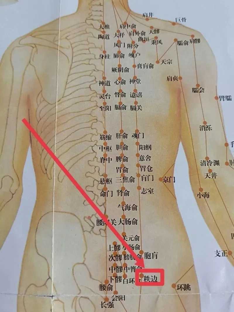 大话西游2辅助灵宝：高效刷怪，助你轻松升级。