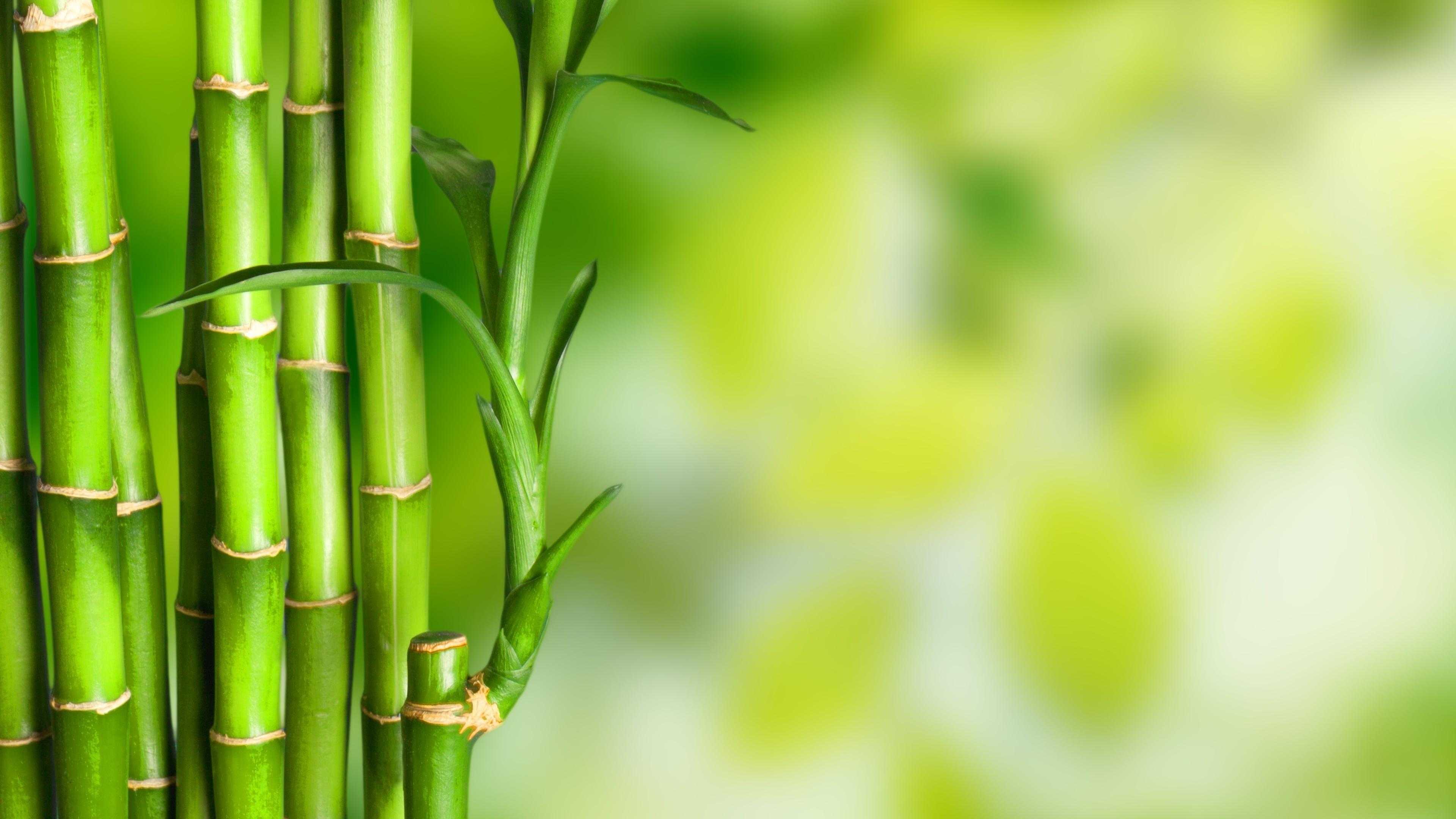 大话西游外挂网站真的靠谱吗？