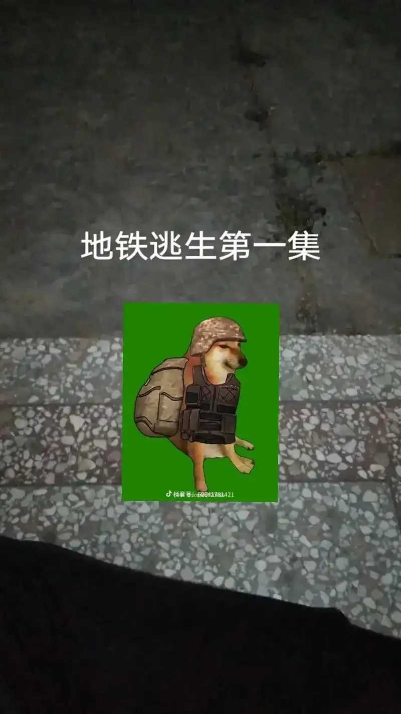 地铁逃生破解2024:实用攻略与技巧指南 第1张 地铁逃生破解2024:实用攻略与技巧指南 第1张