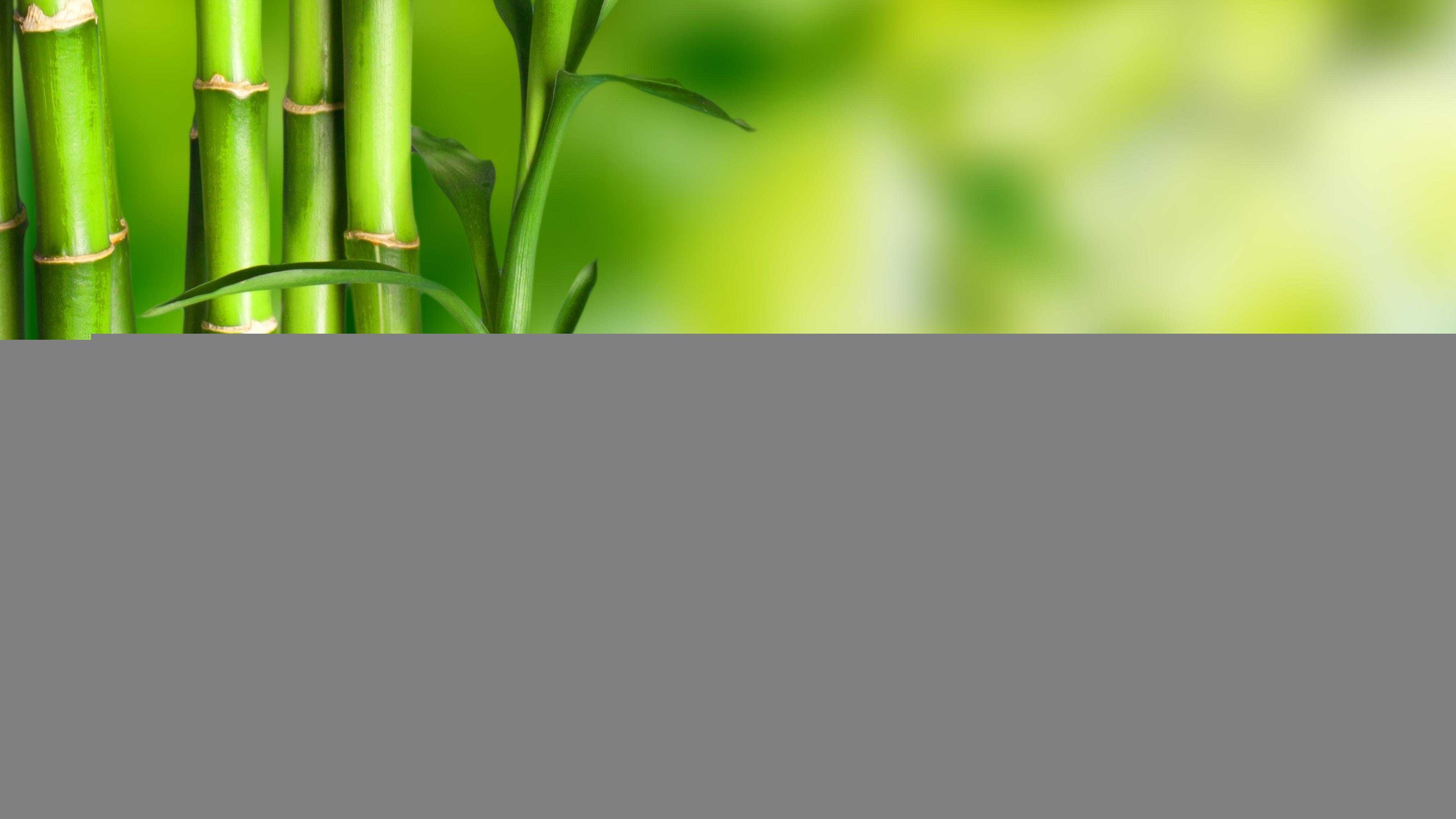 地下城辅助工具深度解析：提升探索效率与游戏体验的利器
