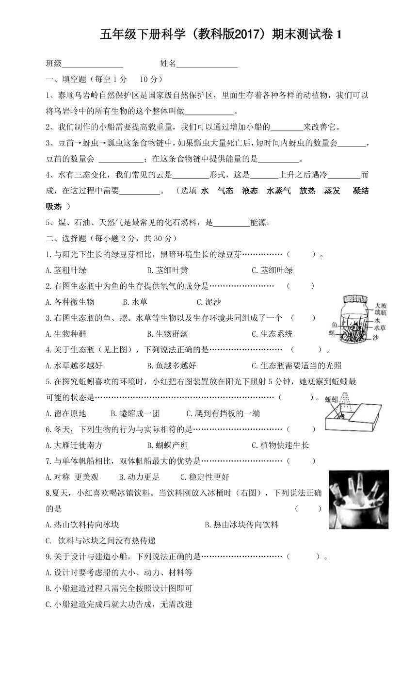 第五人格透视挂免费使用指南：揭秘游戏底层机制与实战技巧