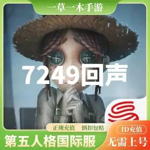 第五人格远方插件是什么？