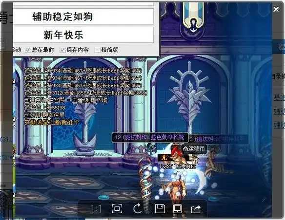 揭秘地下城外挂有哪些及其背后的秘密世界