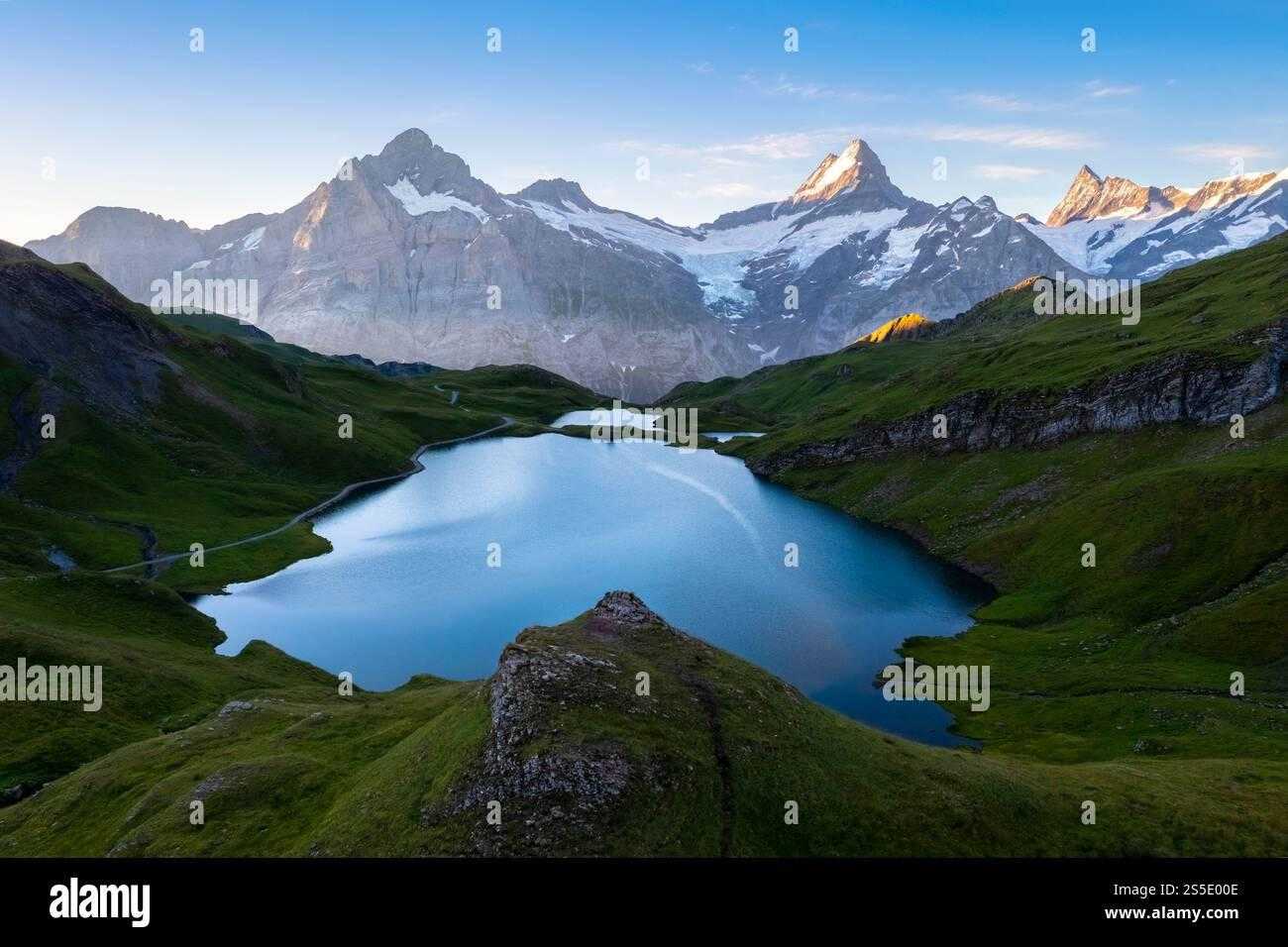 这个地下城辅助人偶有什么特殊功能吗？