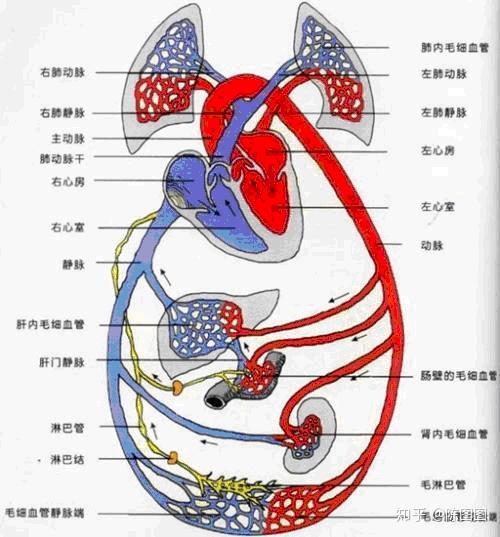 我的世界》科技服务器全攻略：自动化建筑红石奇观与科技生存指南