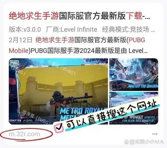 直装pubg公益版下载指南发布