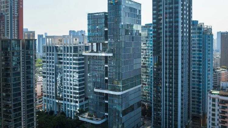 第五人格选手鸽鸽形象引发关注
