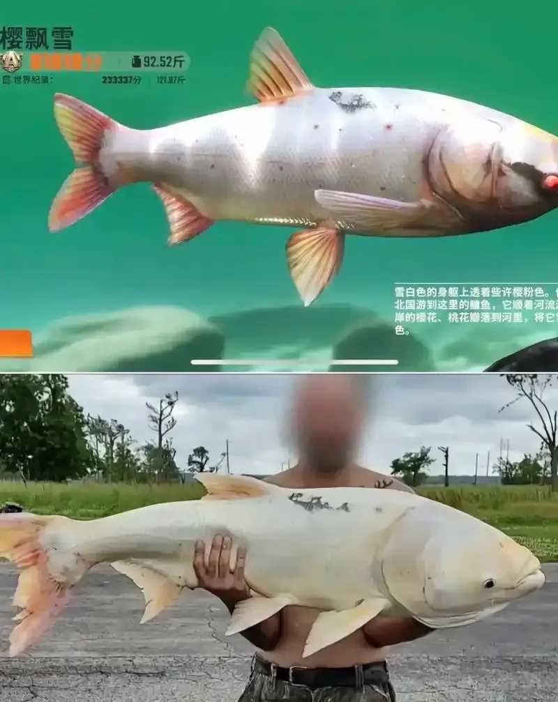 百度贴吧查处钓鱼大师外挂卖家 百度 贴吧 查处 钓鱼 大师 外挂 卖家 第1张 百度贴吧查处钓鱼大师外挂卖家 百度 贴吧 查处 钓鱼 大师 外挂 卖家 第1张