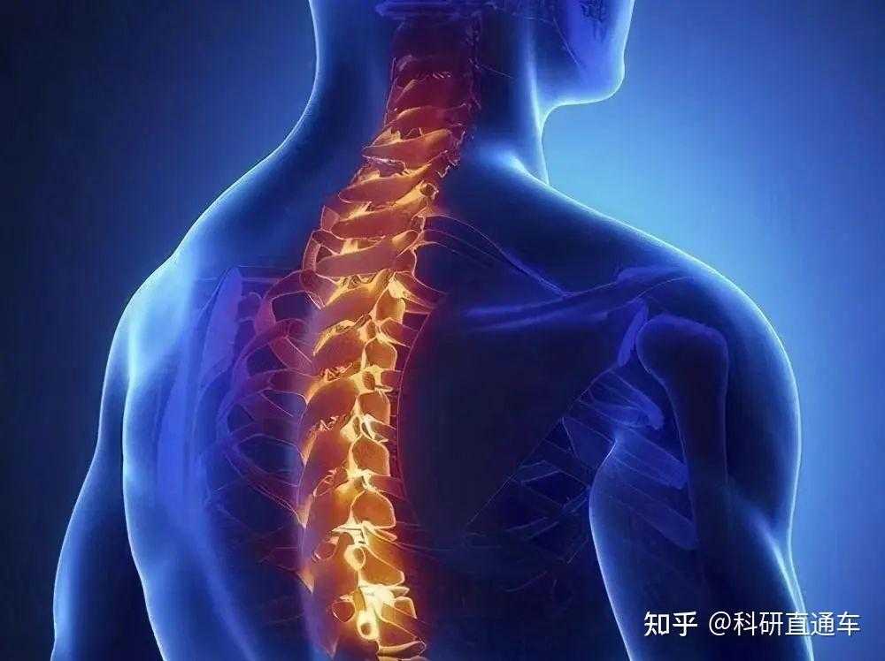 钓鱼大师破解器曝光引发安全关注